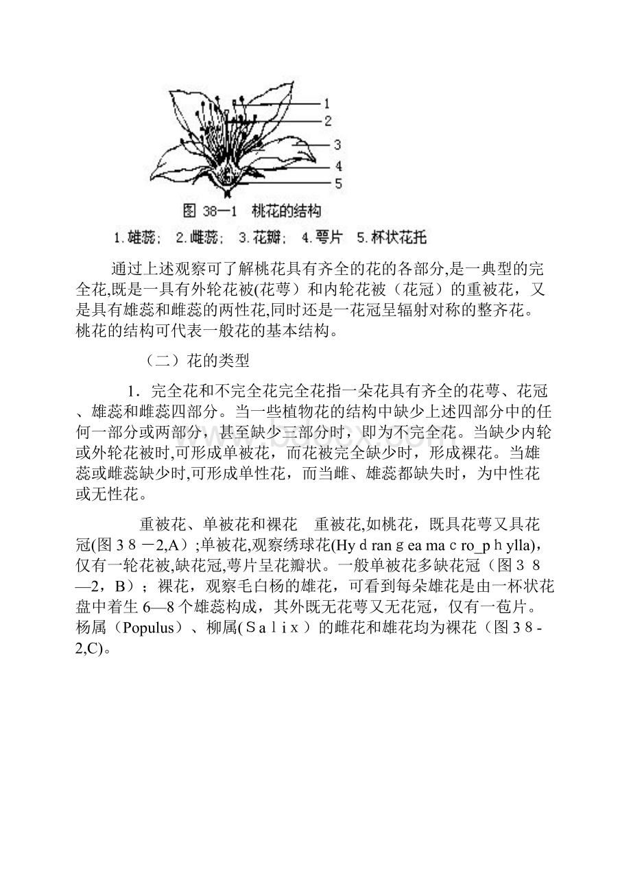 最新花的解剖结构精品课件.docx_第2页