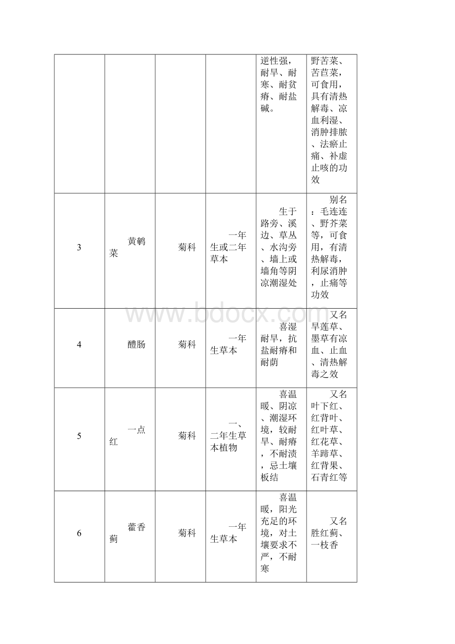 校园植物观察与识别汇编.docx_第2页