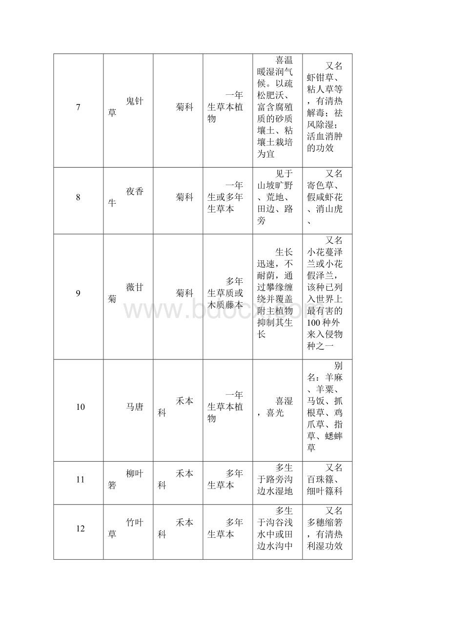 校园植物观察与识别汇编.docx_第3页