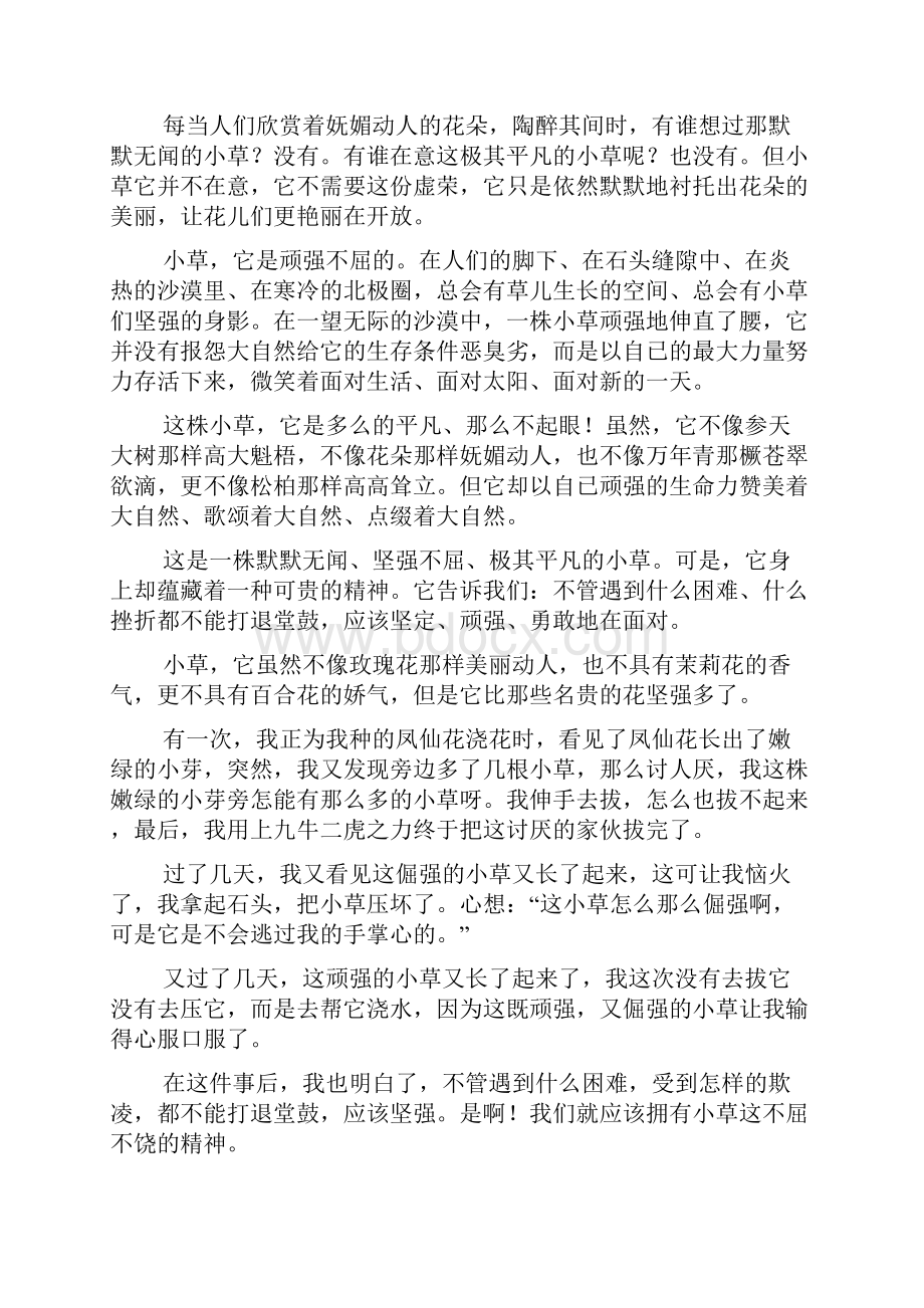 小草带来的启示作文.docx_第2页