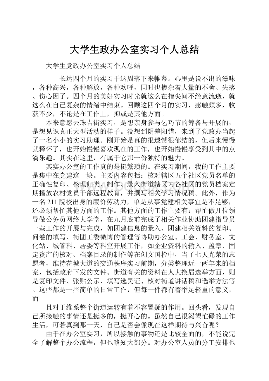 大学生政办公室实习个人总结.docx