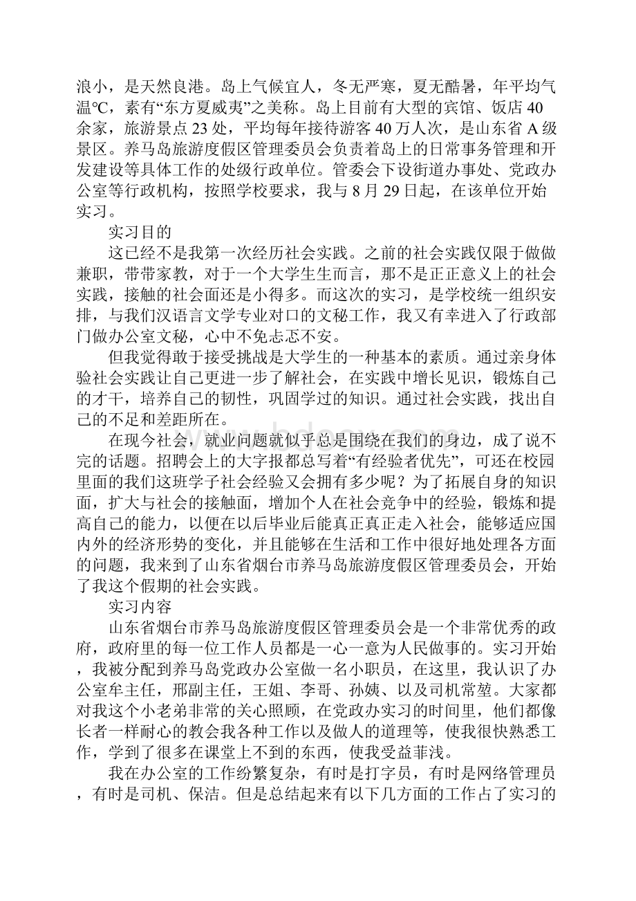 大学生政办公室实习个人总结.docx_第3页