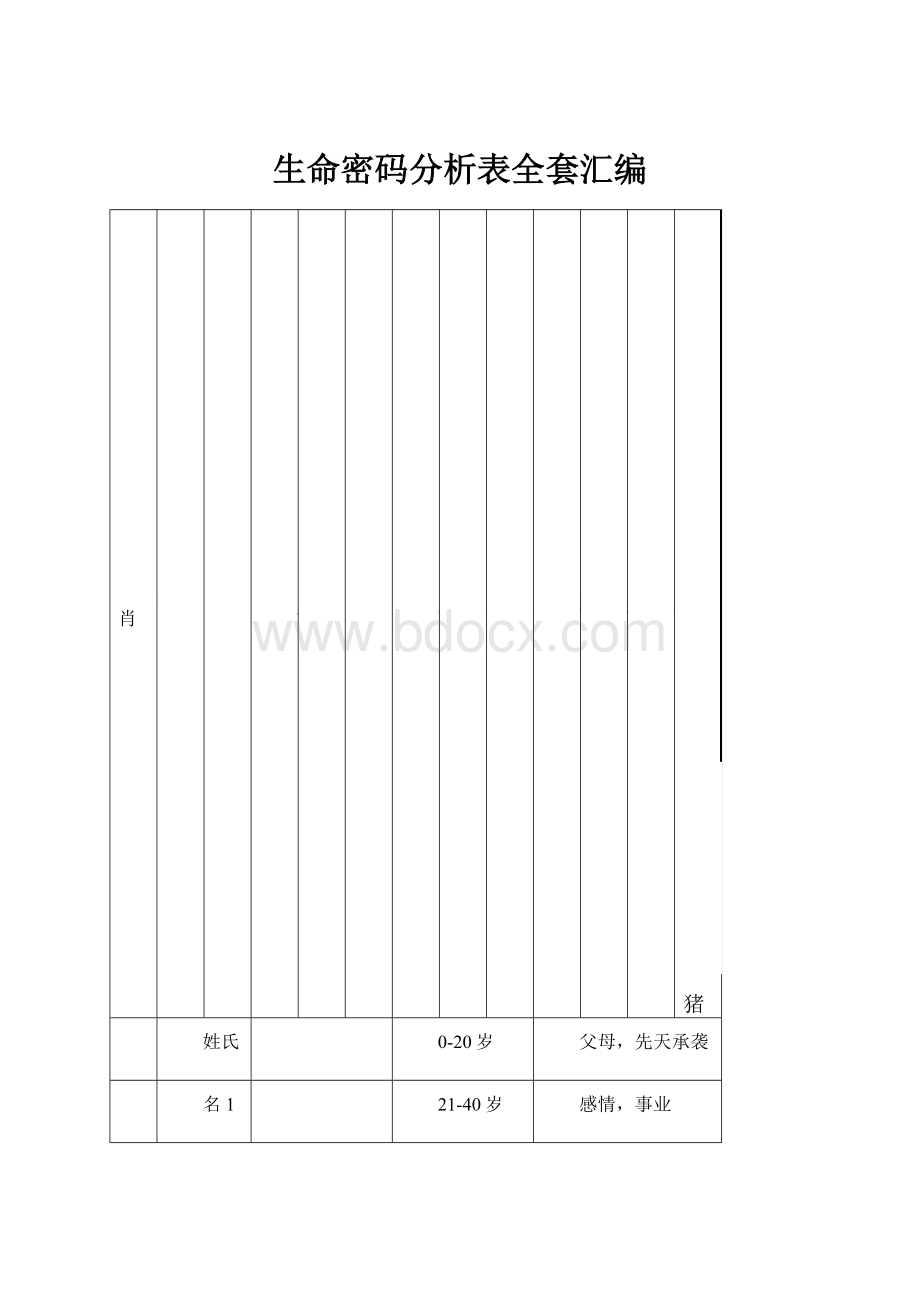 生命密码分析表全套汇编.docx