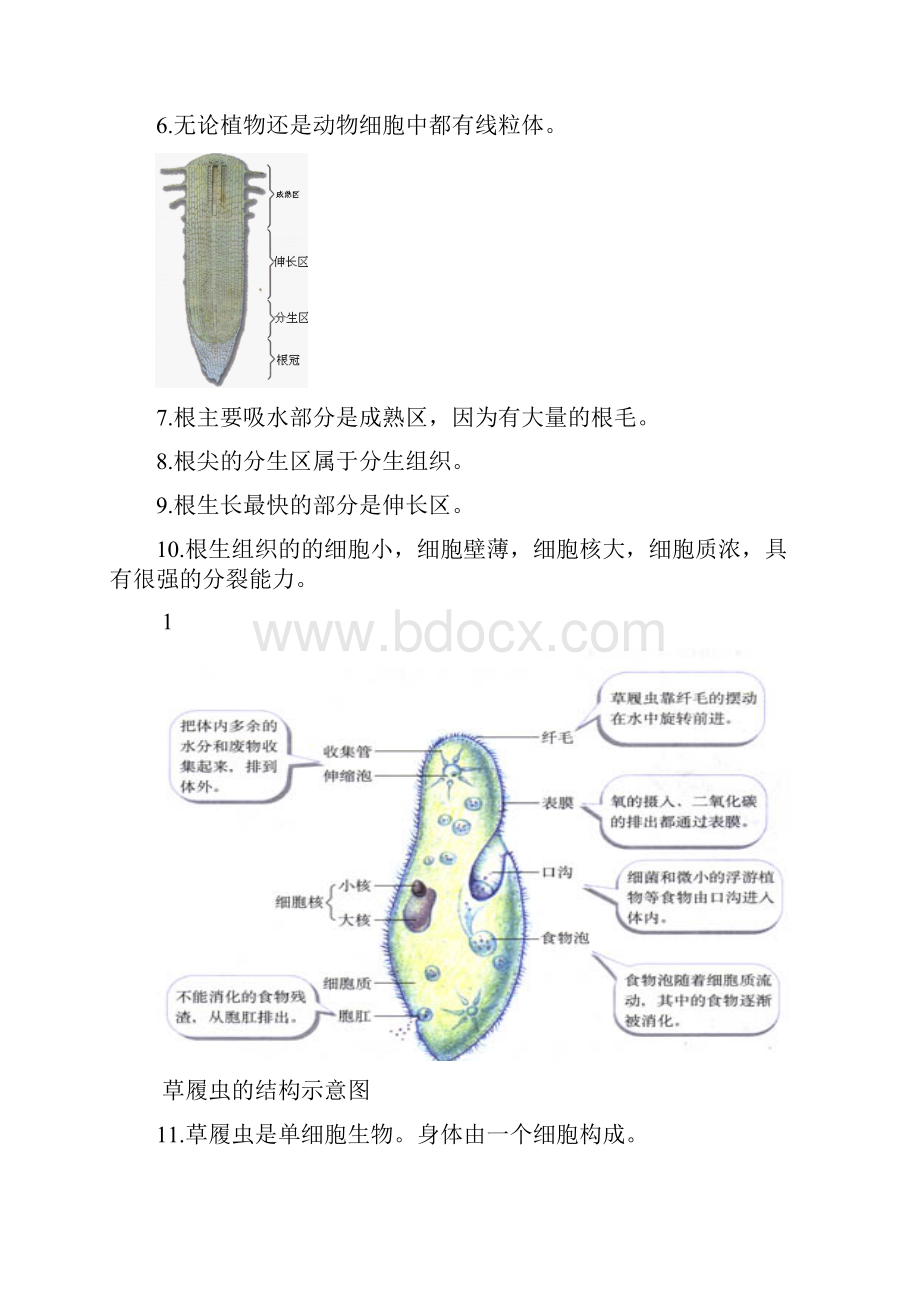 生地会考复习资料初中生物图集附题目人教版.docx_第2页