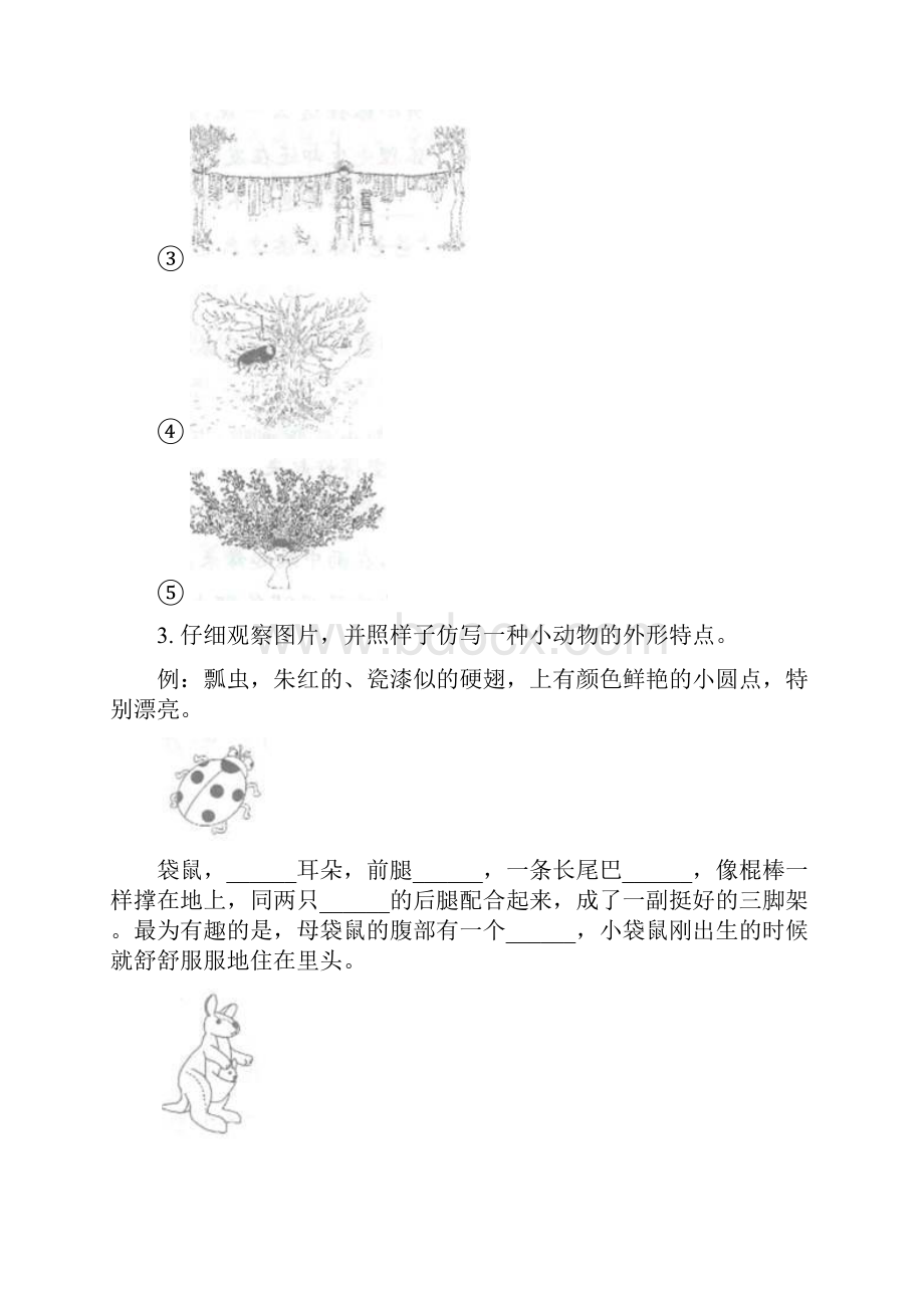 三年级语文上册看图写话专项强化训练.docx_第2页