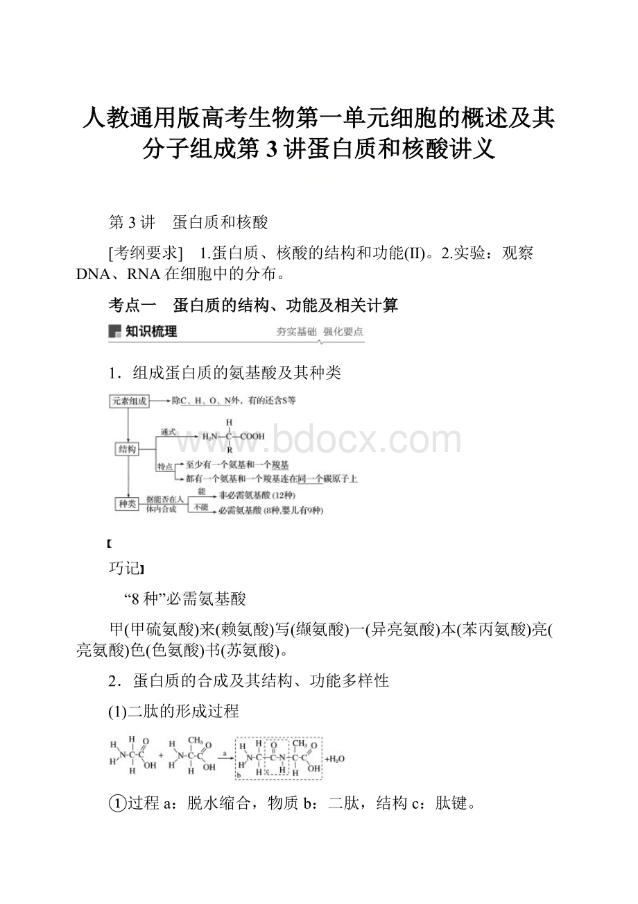 人教通用版高考生物第一单元细胞的概述及其分子组成第3讲蛋白质和核酸讲义.docx