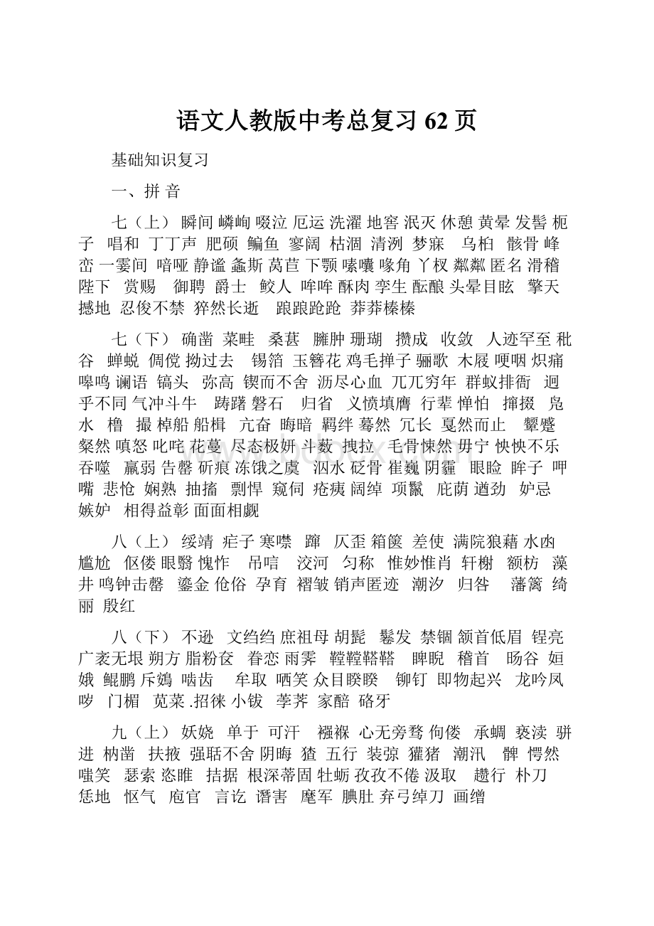 语文人教版中考总复习62页.docx_第1页