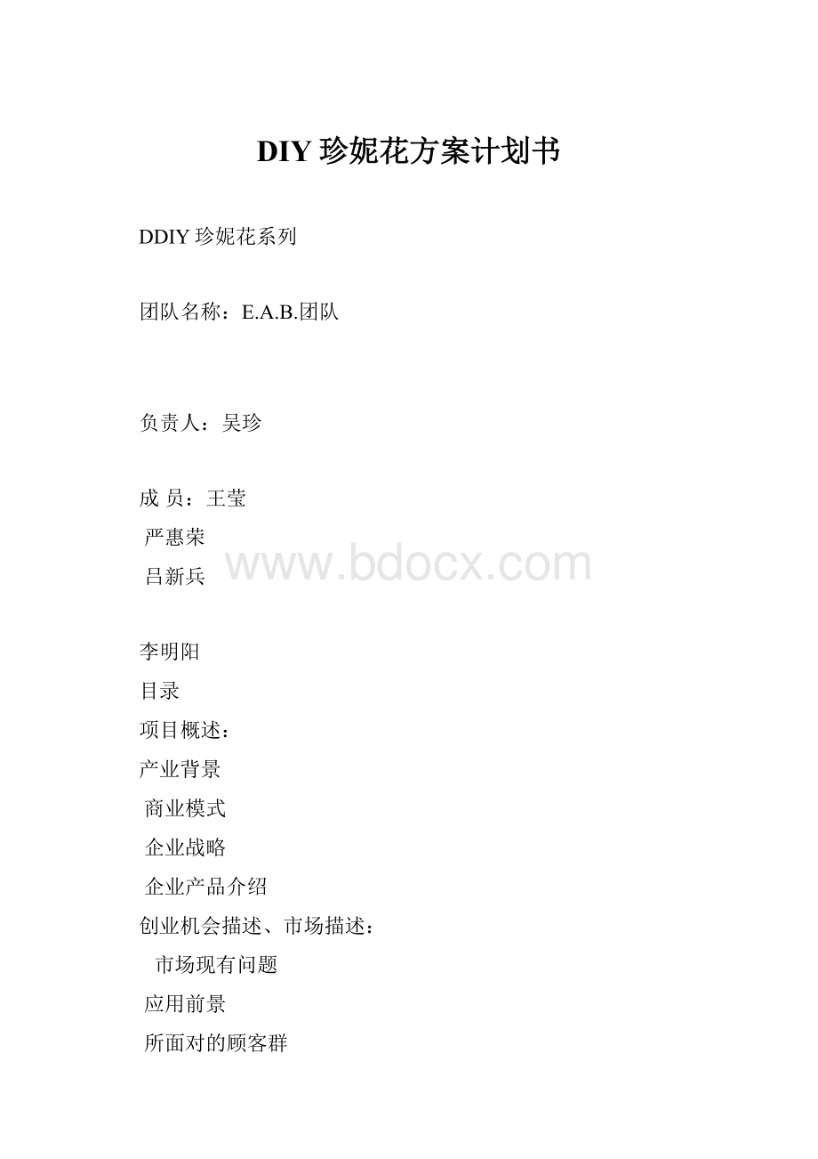 DIY珍妮花方案计划书.docx