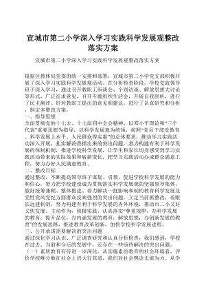 宣城市第二小学深入学习实践科学发展观整改落实方案.docx