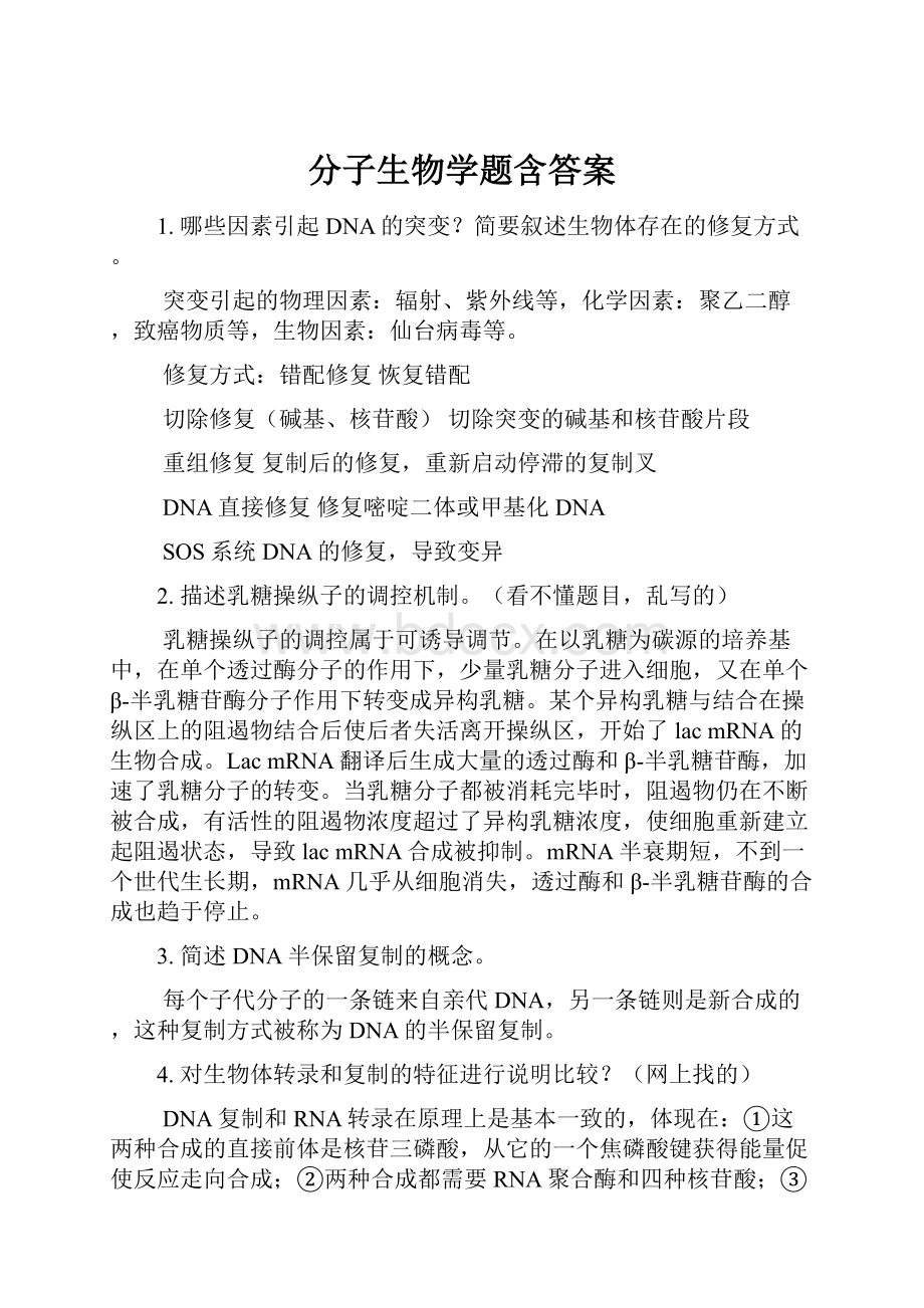 分子生物学题含答案.docx