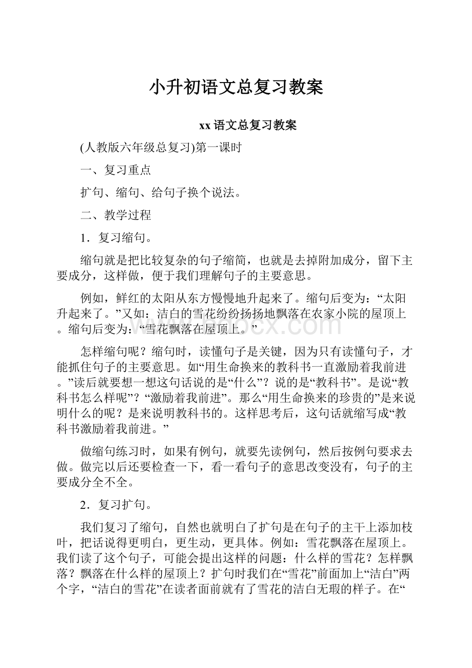 小升初语文总复习教案.docx_第1页