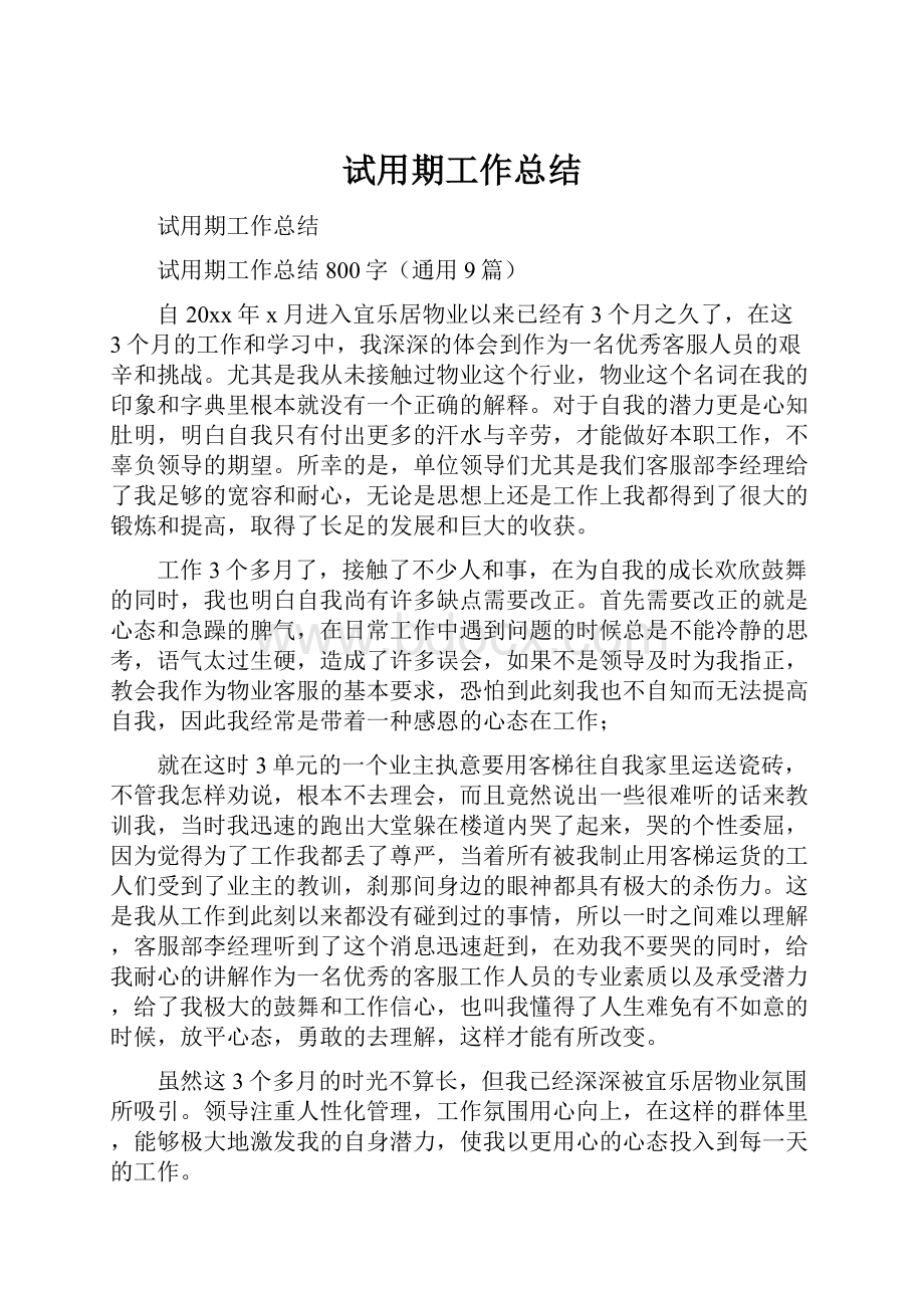 试用期工作总结.docx