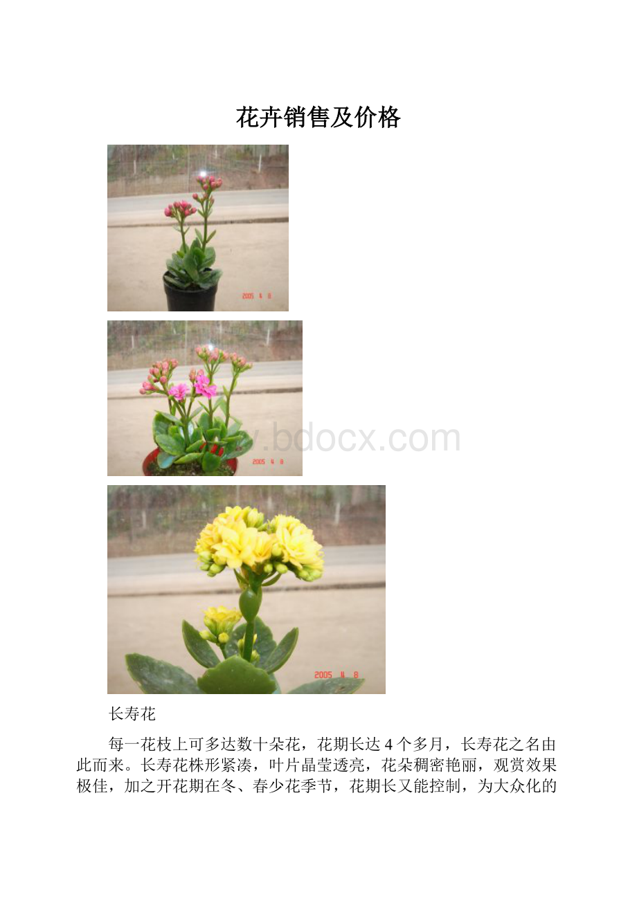 花卉销售及价格.docx