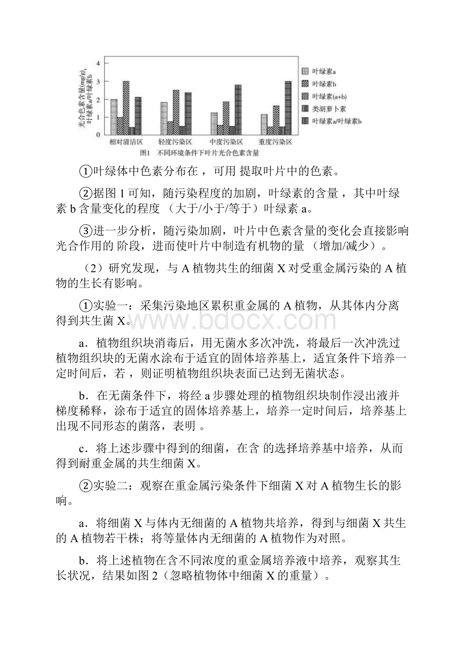 届北京市朝阳区高三第一次综合练习理科综合试题及答案.docx_第3页