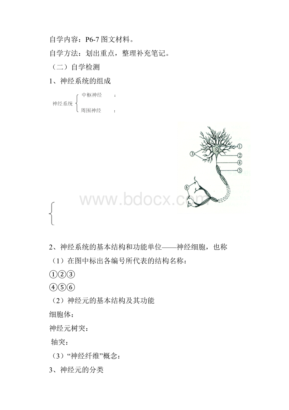 神经系统中信息的传递和调节导学案.docx_第2页