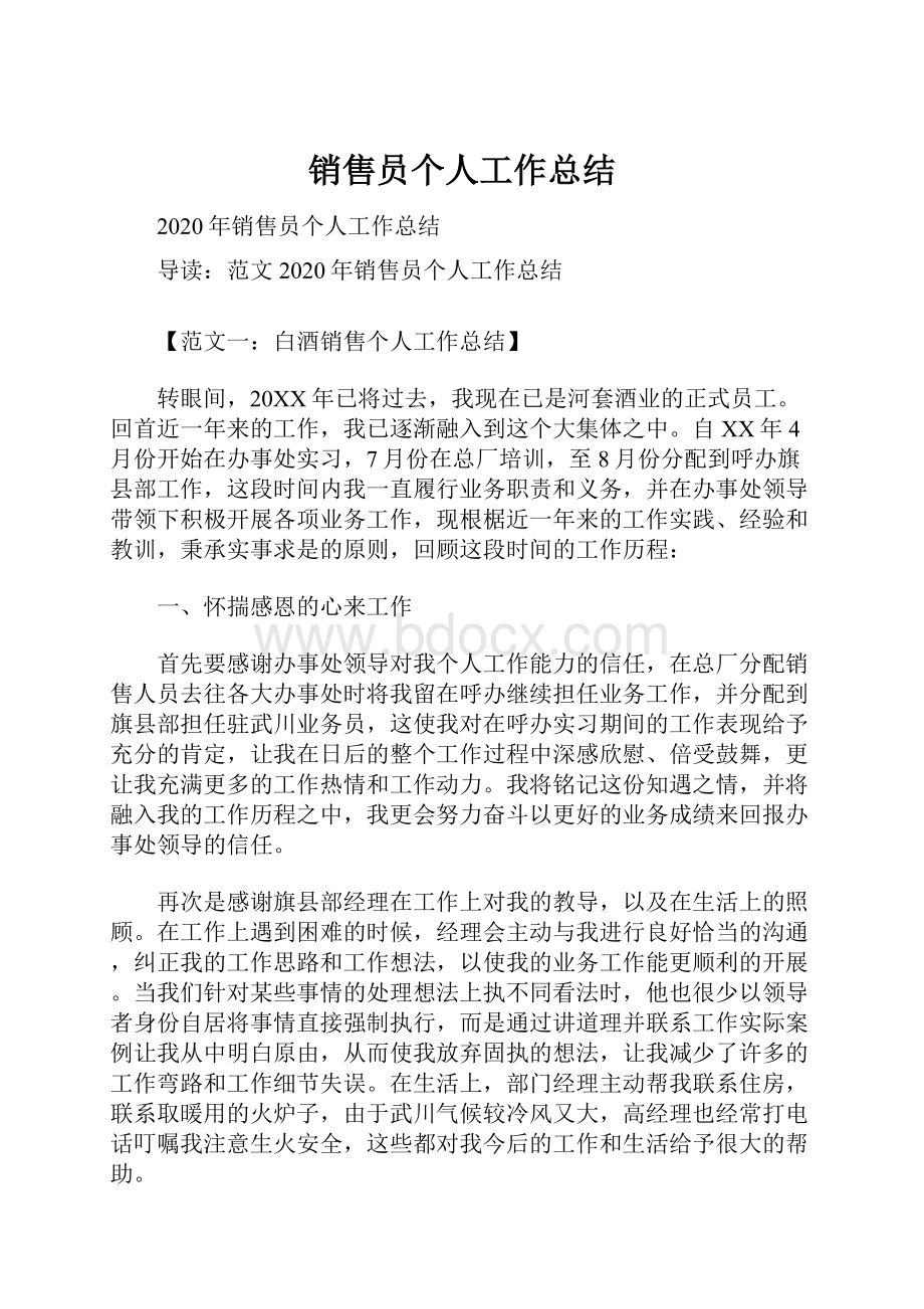 销售员个人工作总结.docx