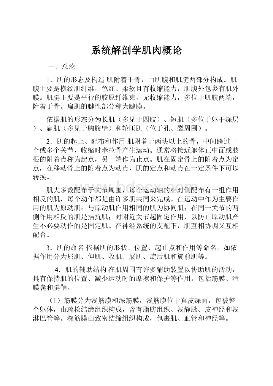 系统解剖学肌肉概论.docx_第1页