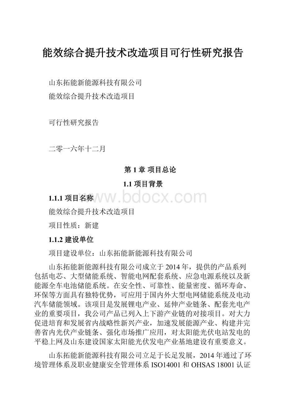 能效综合提升技术改造项目可行性研究报告.docx_第1页