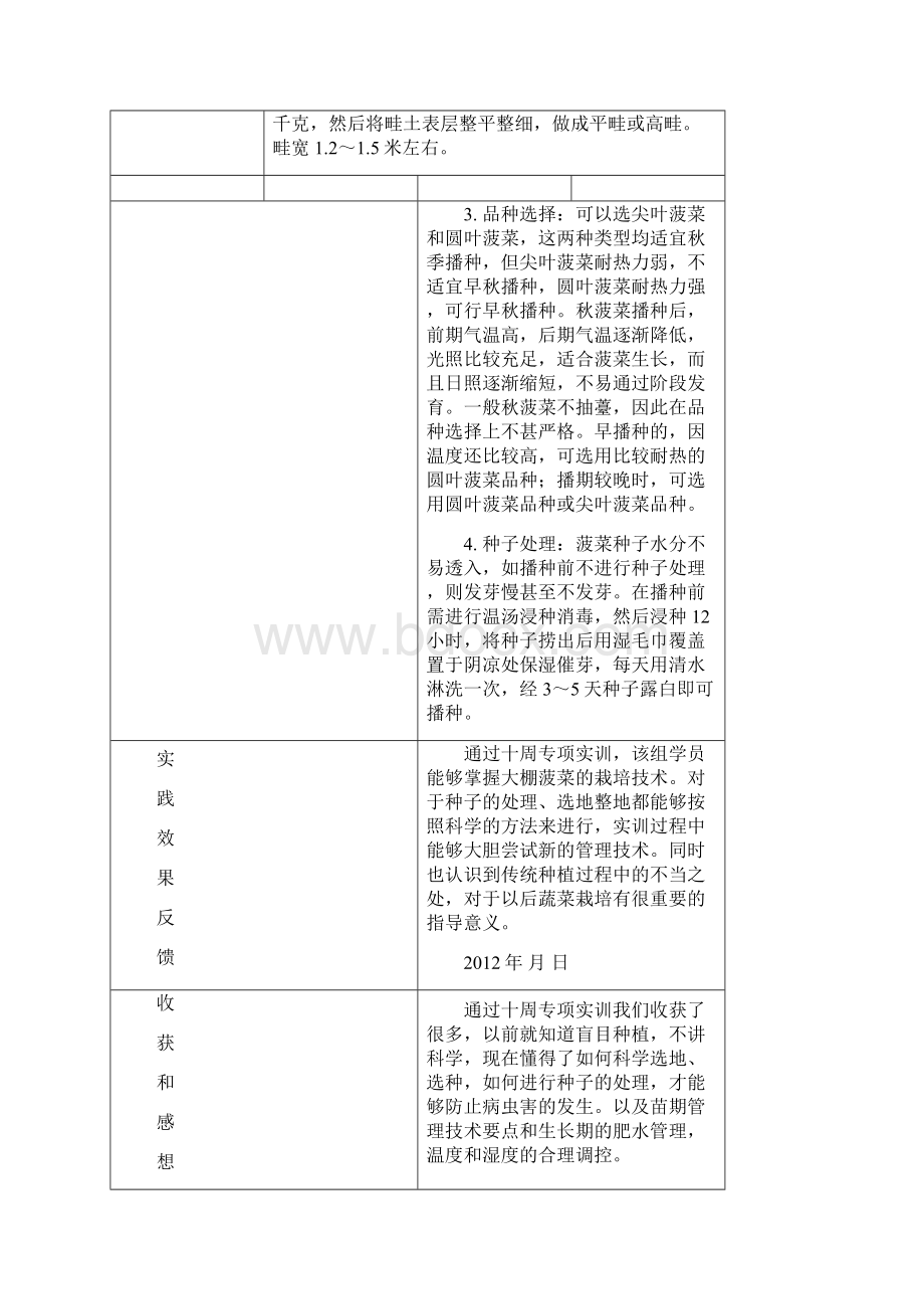 大棚菠菜综合性实践报告.docx_第3页