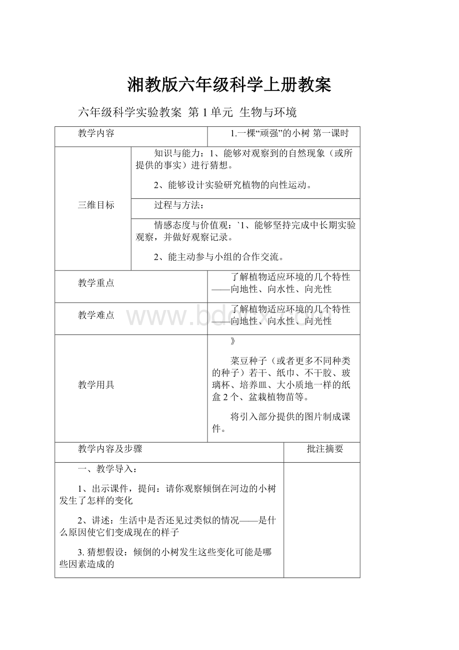 湘教版六年级科学上册教案.docx