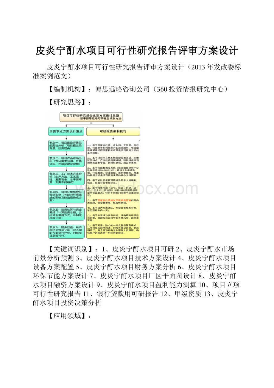 皮炎宁酊水项目可行性研究报告评审方案设计.docx