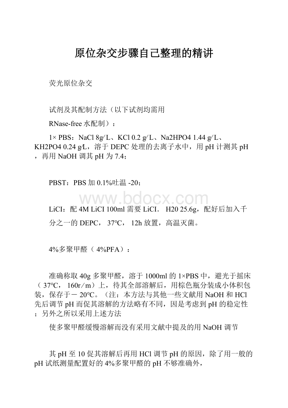 原位杂交步骤自己整理的精讲.docx_第1页