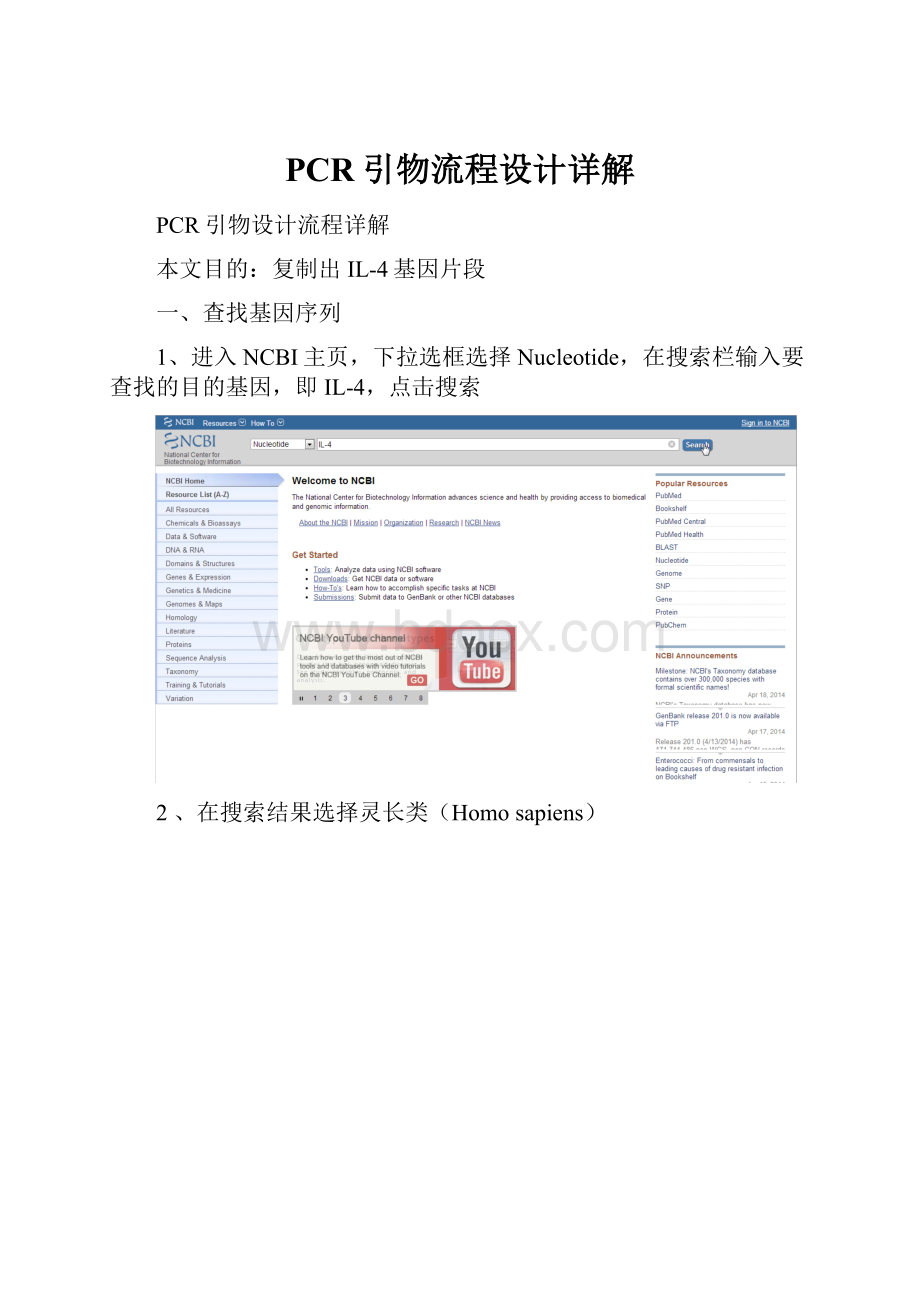 PCR引物流程设计详解.docx