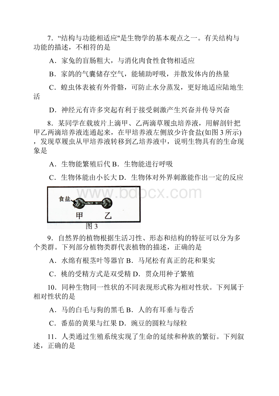 生物与地理.docx_第3页