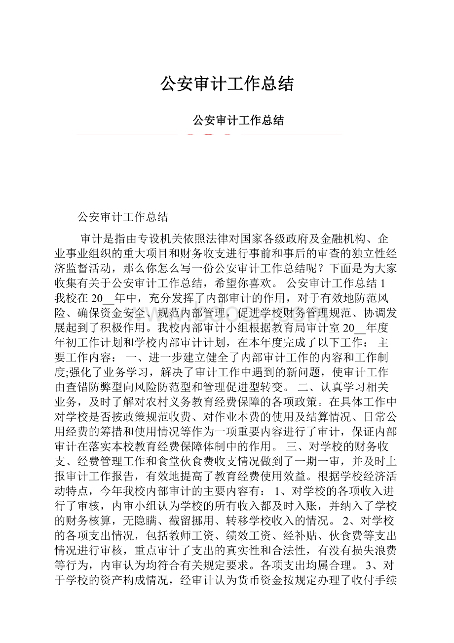 公安审计工作总结.docx