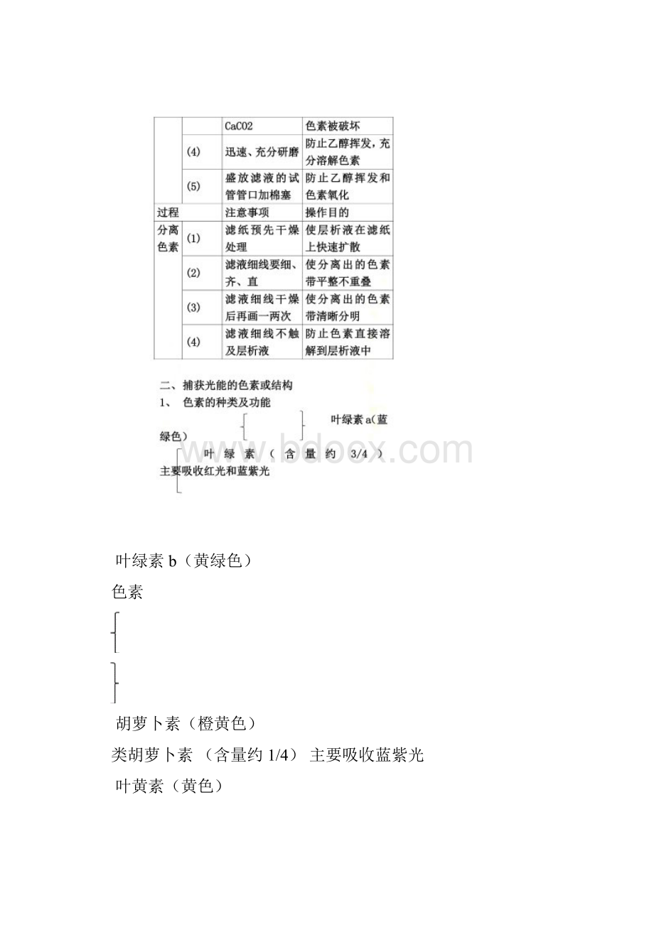 光合作用知识点.docx_第3页