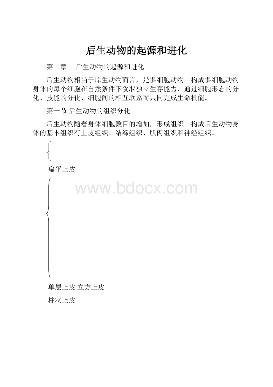 后生动物的起源和进化.docx_第1页