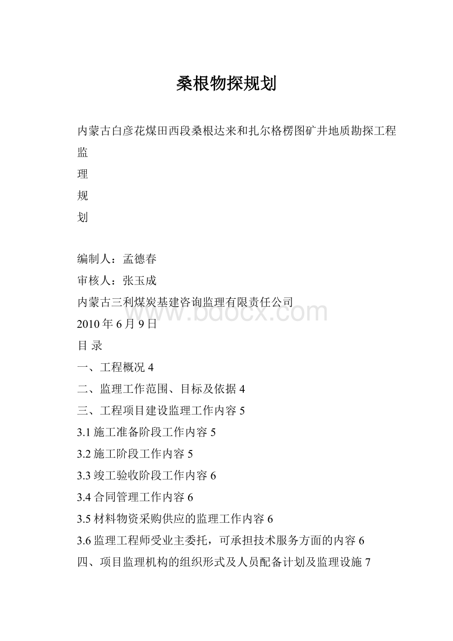 桑根物探规划.docx