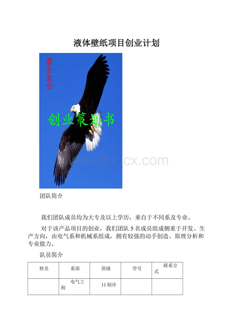 液体壁纸项目创业计划.docx