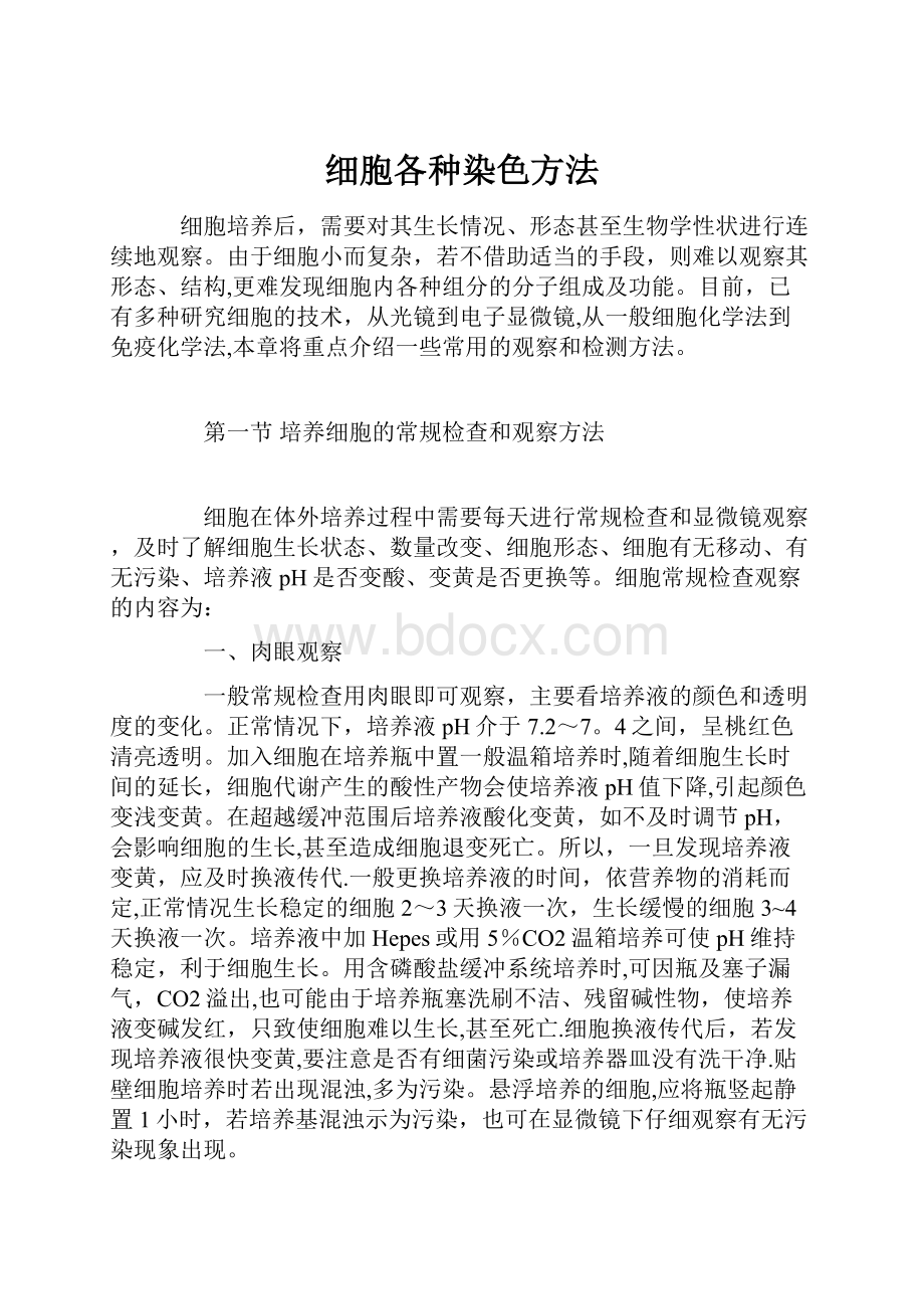 细胞各种染色方法.docx_第1页