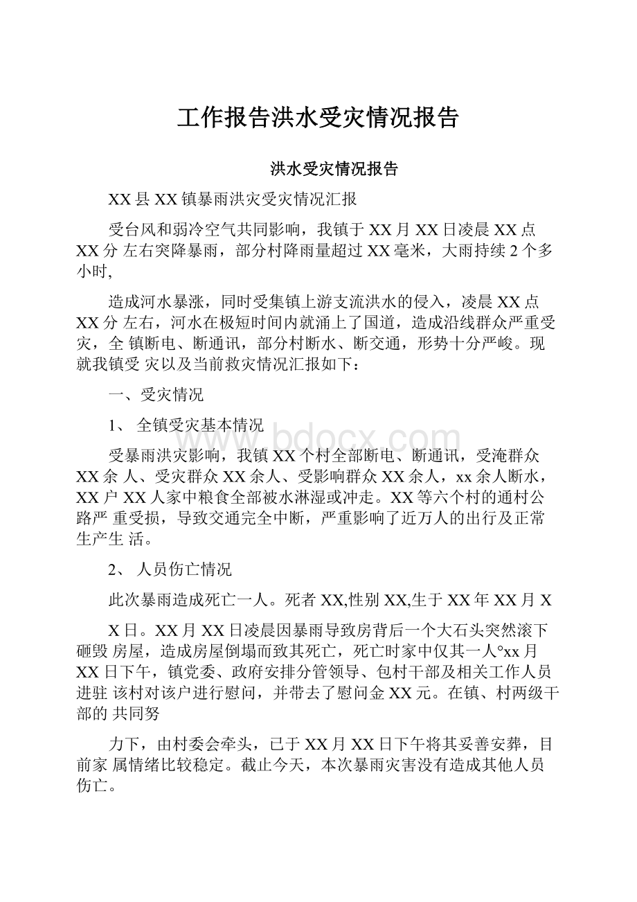 工作报告洪水受灾情况报告.docx