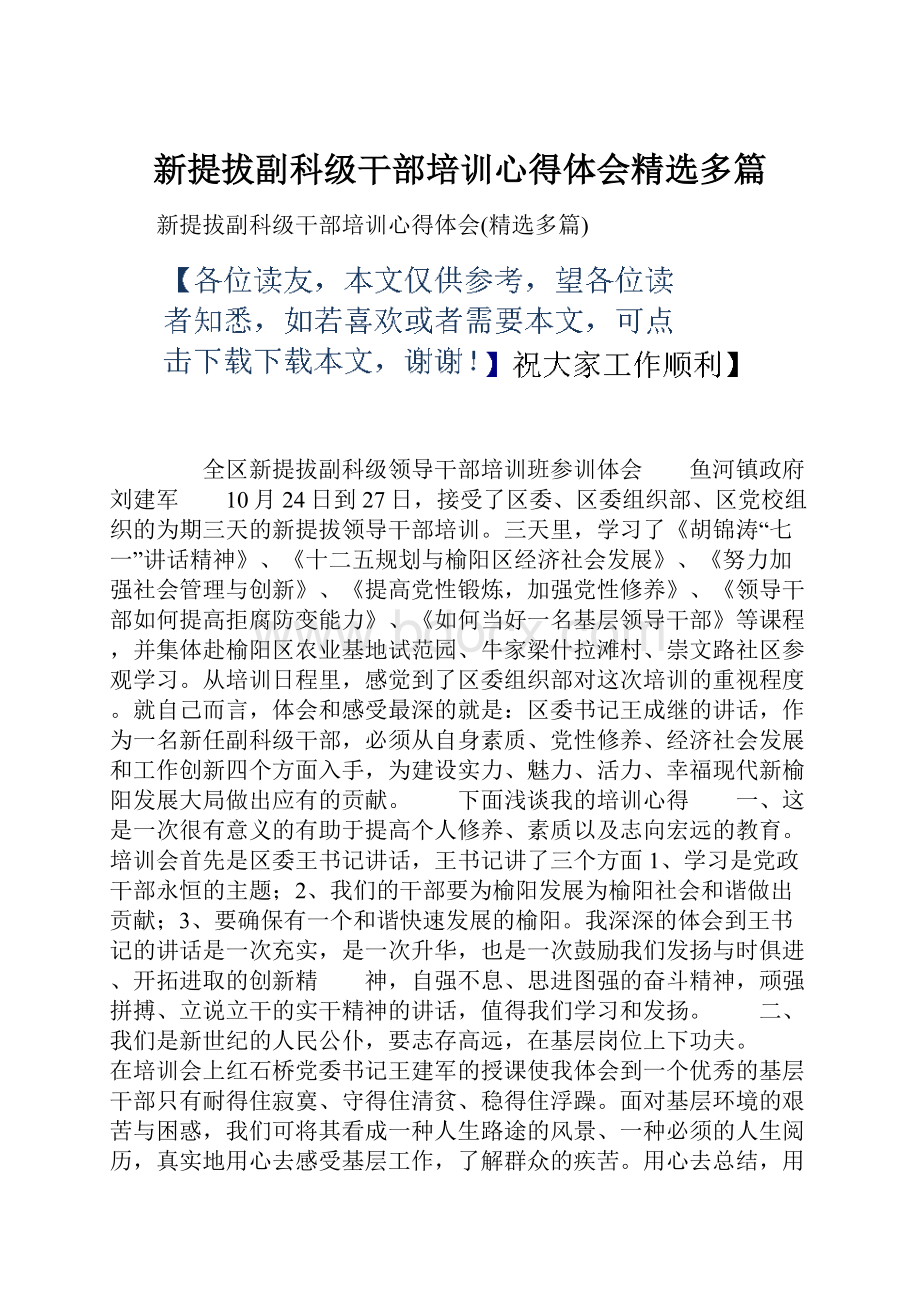 新提拔副科级干部培训心得体会精选多篇.docx