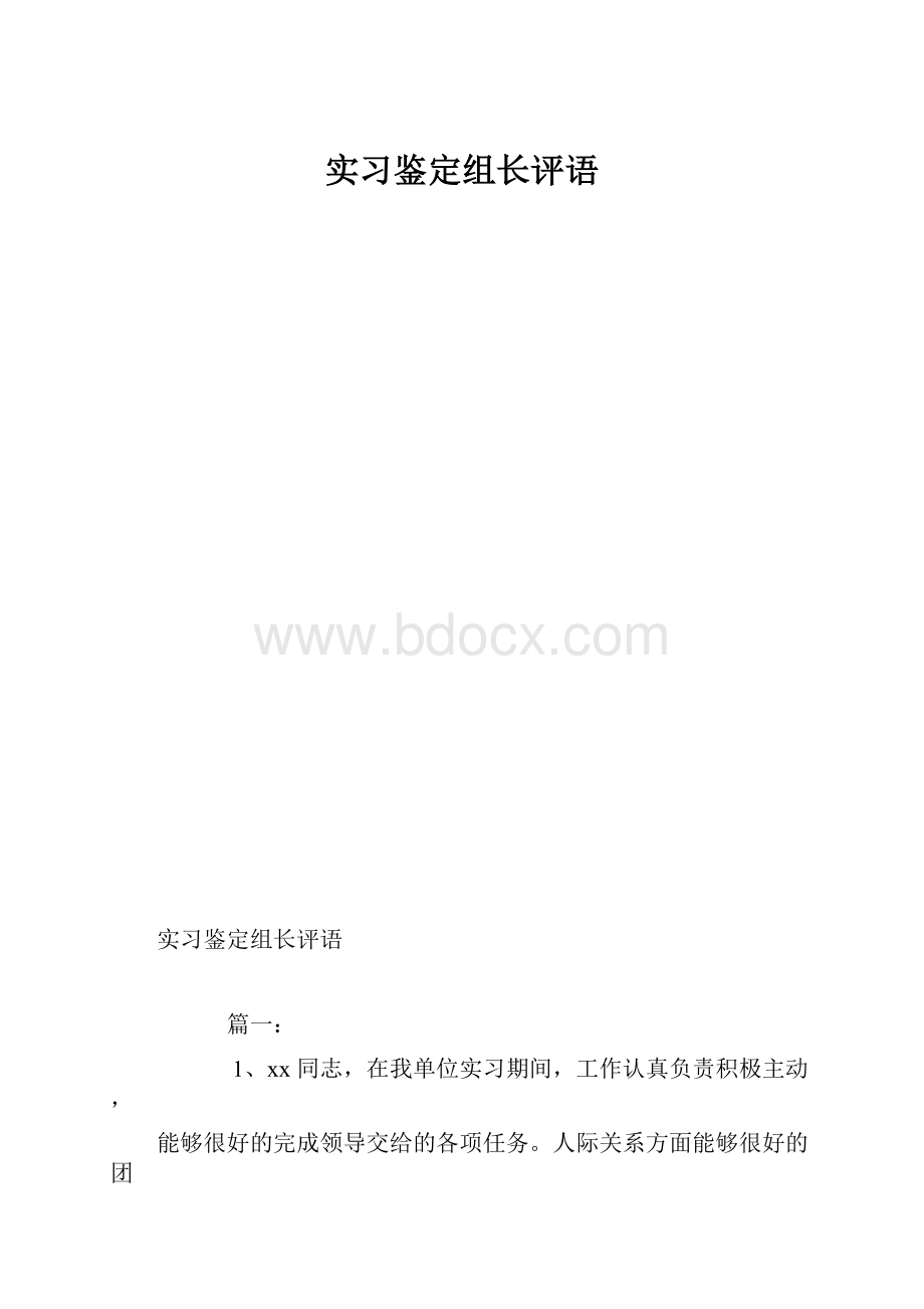 实习鉴定组长评语.docx