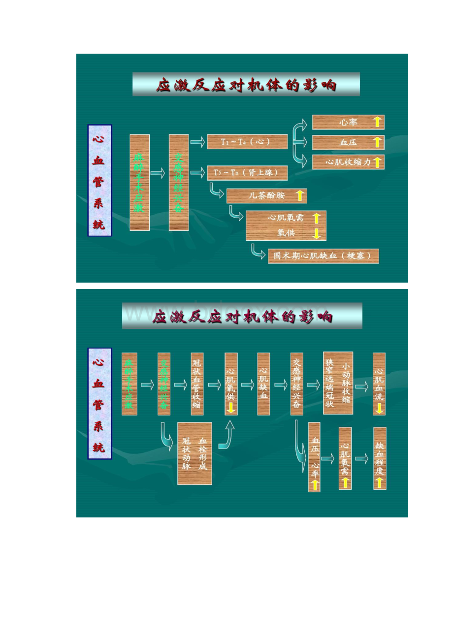 麻醉与应激反应调控精.docx_第2页