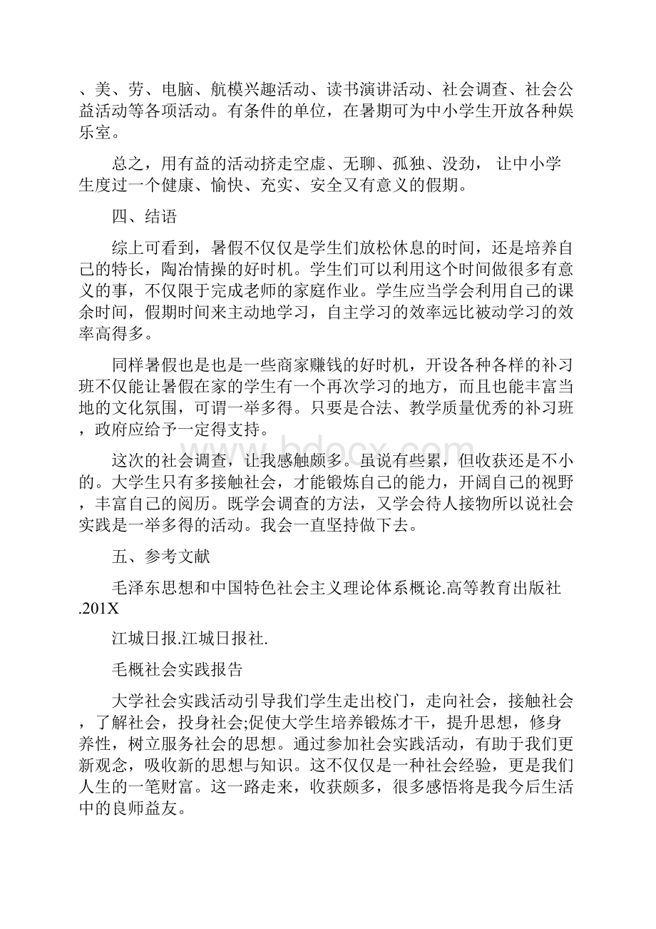 毛概社会实践报告.docx_第3页