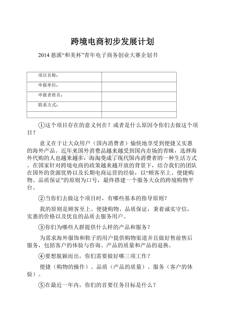 跨境电商初步发展计划.docx_第1页