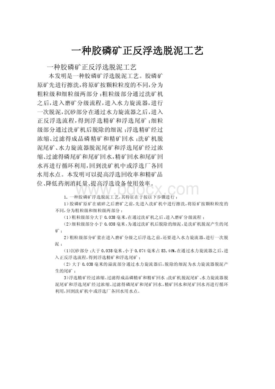 一种胶磷矿正反浮选脱泥工艺.docx_第1页