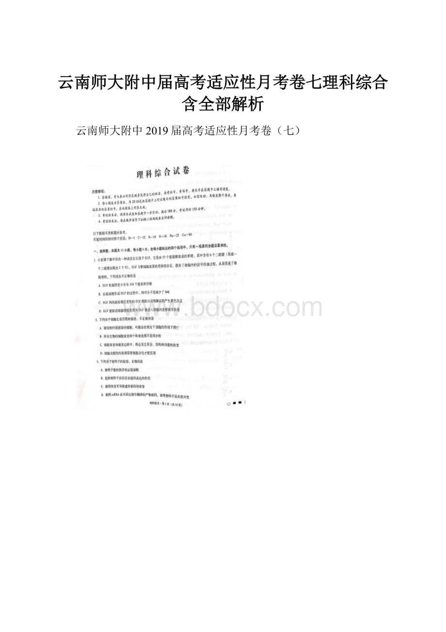 云南师大附中届高考适应性月考卷七理科综合含全部解析.docx_第1页