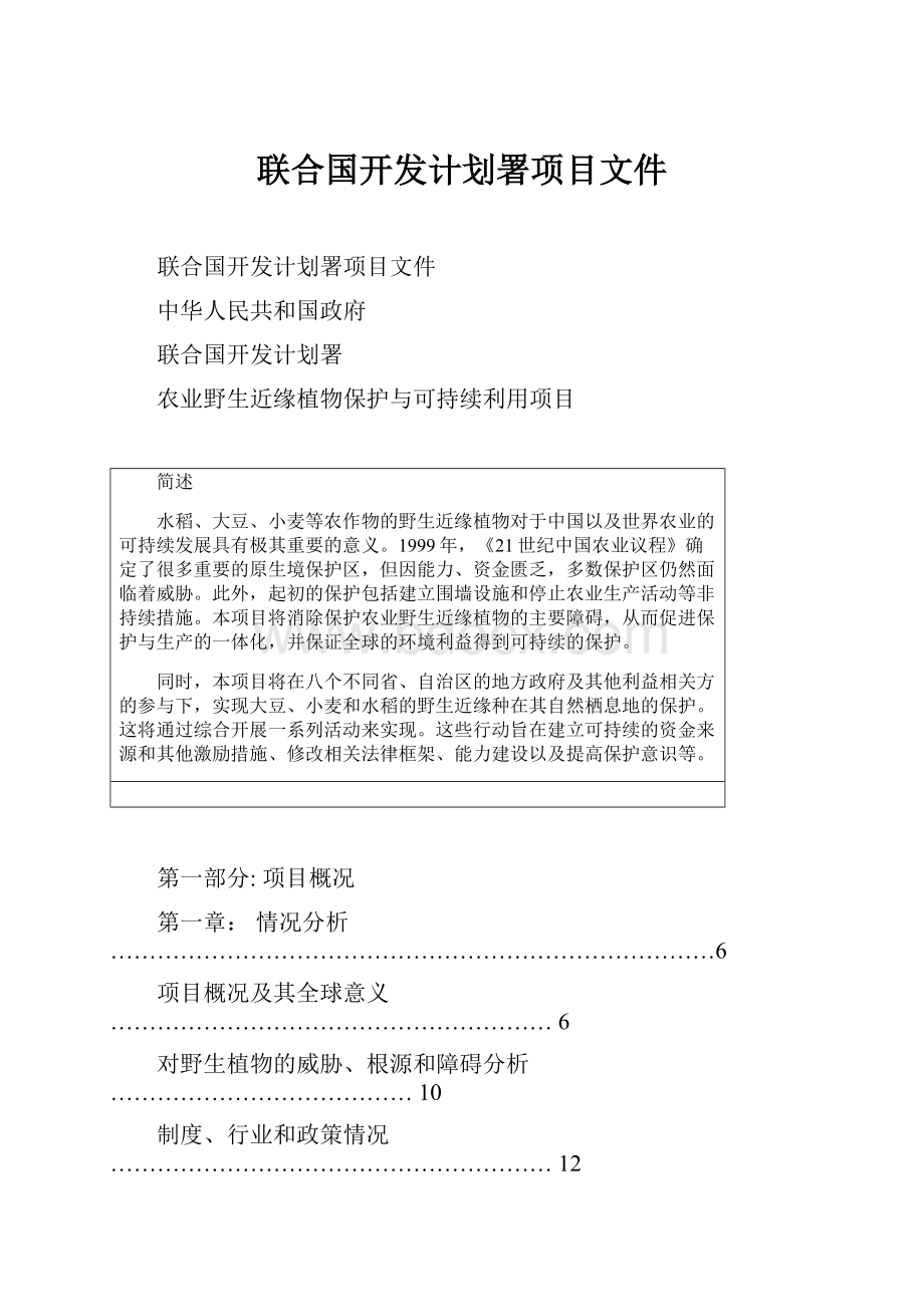 联合国开发计划署项目文件.docx_第1页