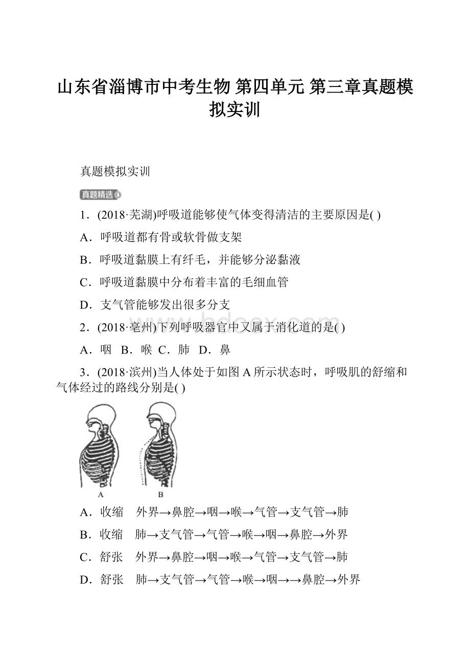 山东省淄博市中考生物 第四单元 第三章真题模拟实训.docx_第1页