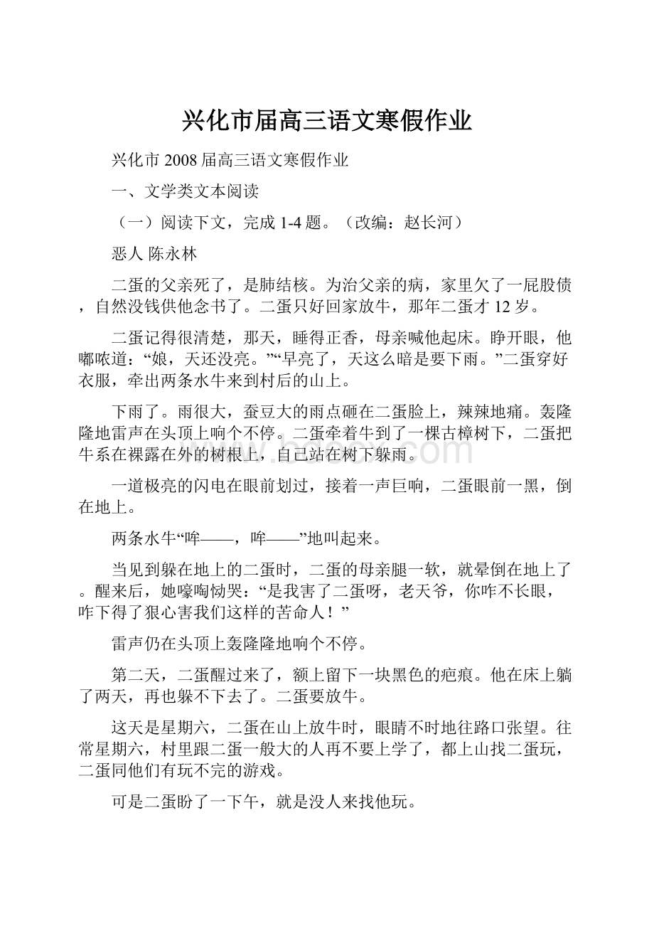 兴化市届高三语文寒假作业.docx