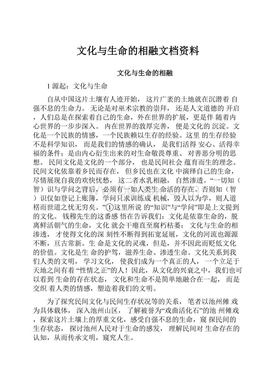 文化与生命的相融文档资料.docx_第1页