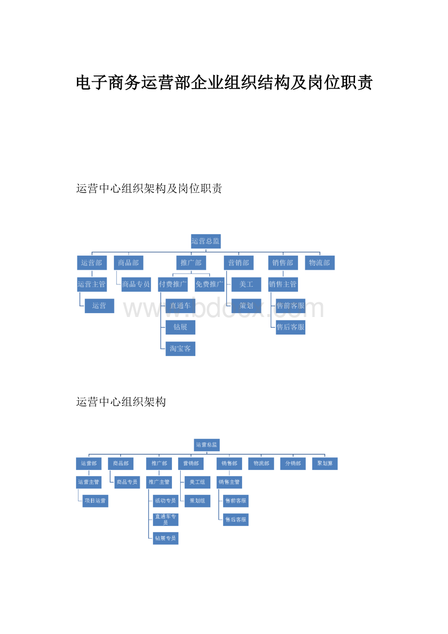 电子商务运营部企业组织结构及岗位职责.docx