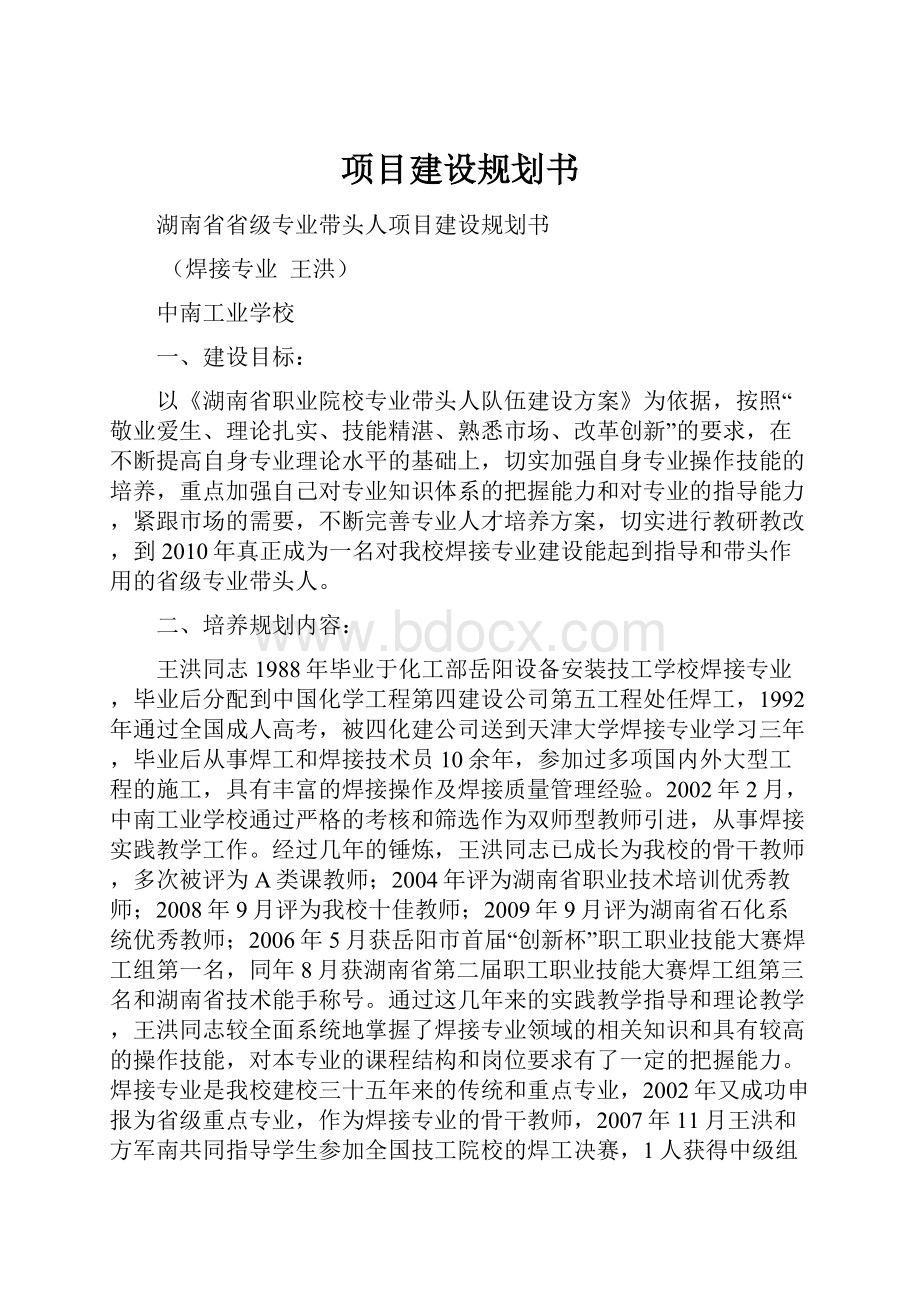 项目建设规划书.docx