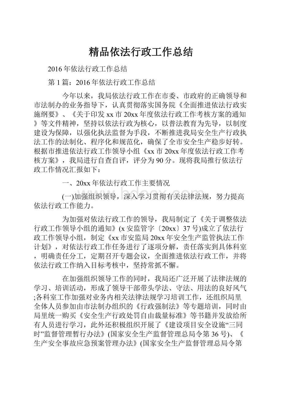 精品依法行政工作总结.docx