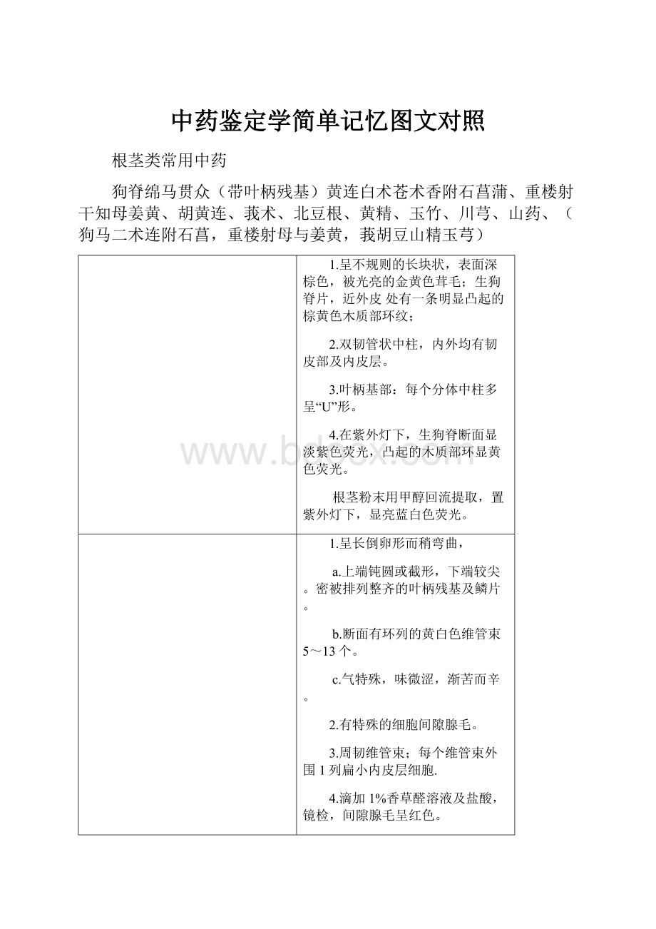 中药鉴定学简单记忆图文对照.docx_第1页